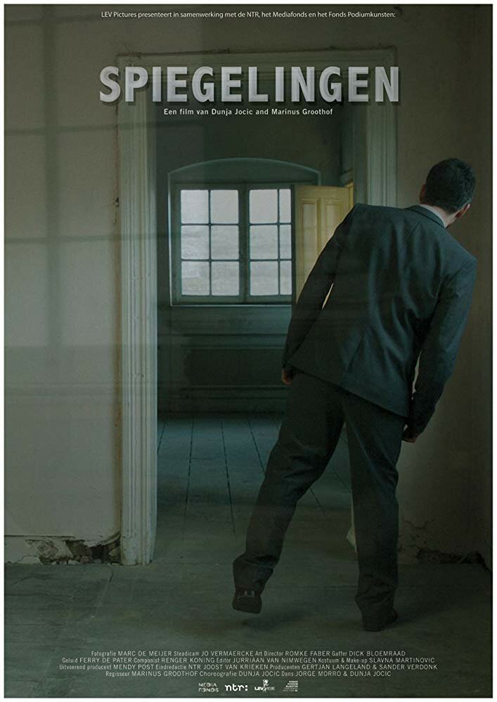 Spiegelingen (2011) постер