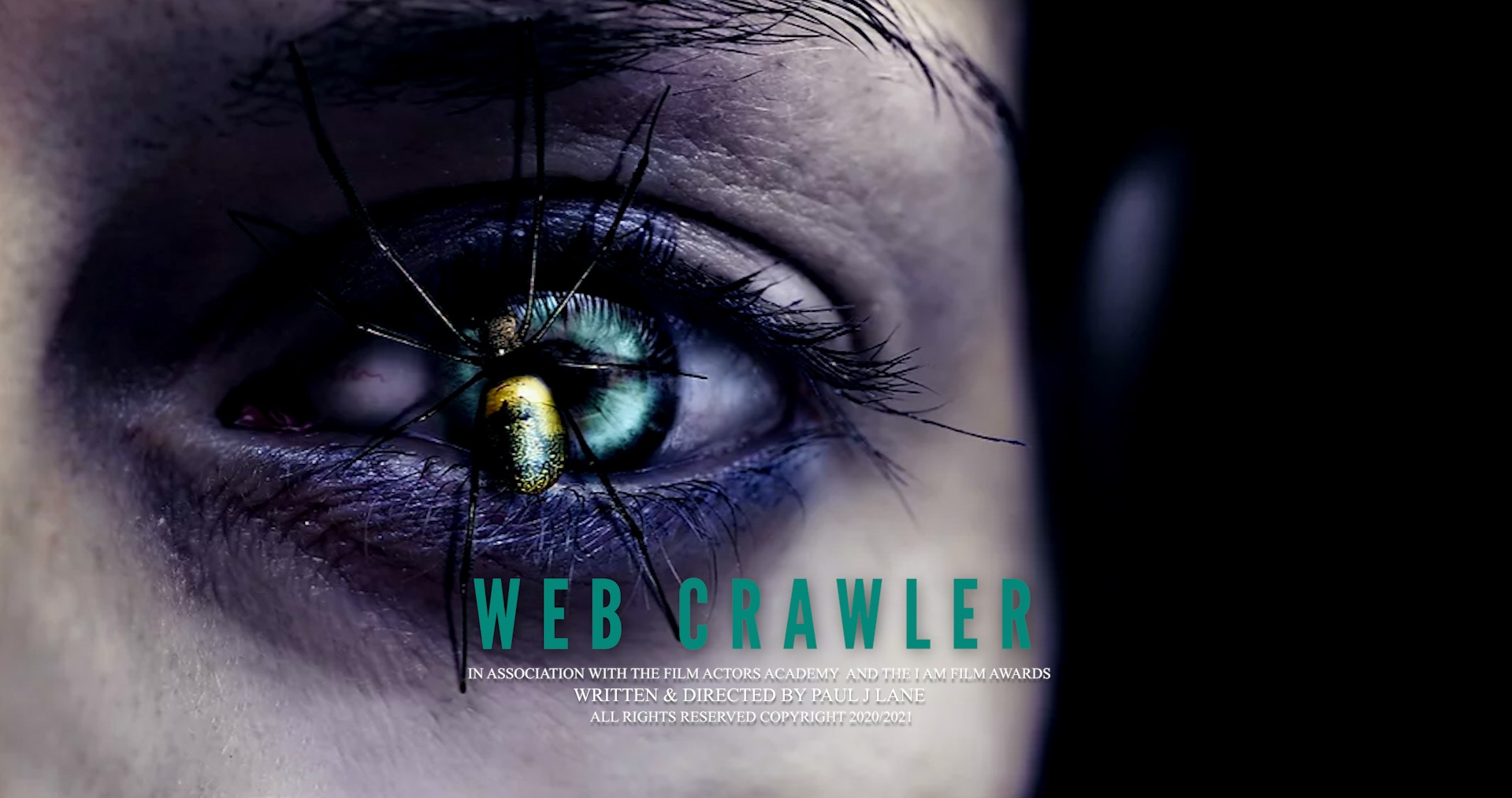 Web Crawler (2021) постер