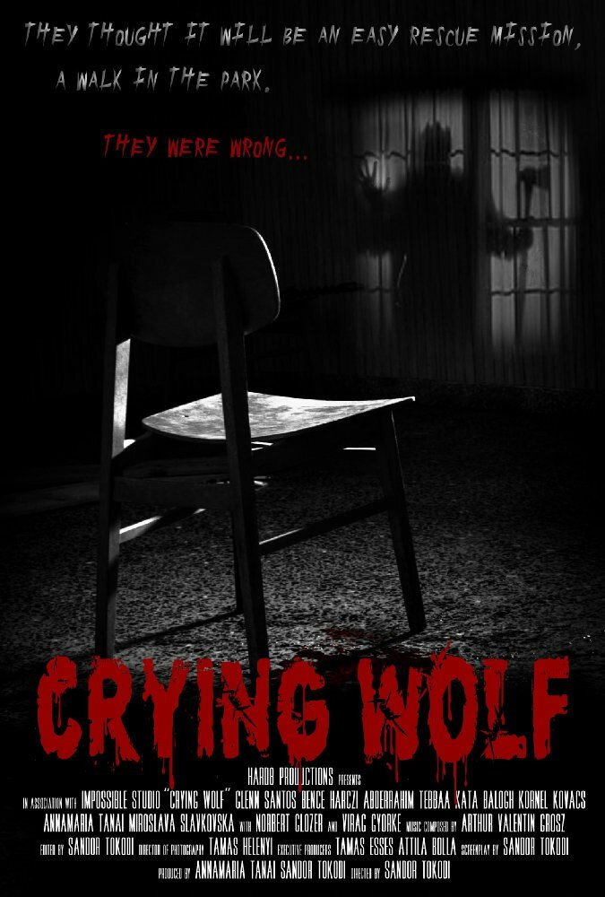 Crying Wolf (2016) постер