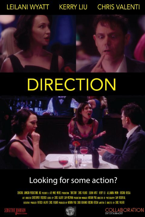 Direction (2015) постер