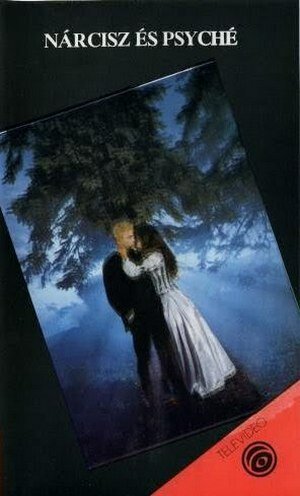 Нарцисс и Психея (1980) постер