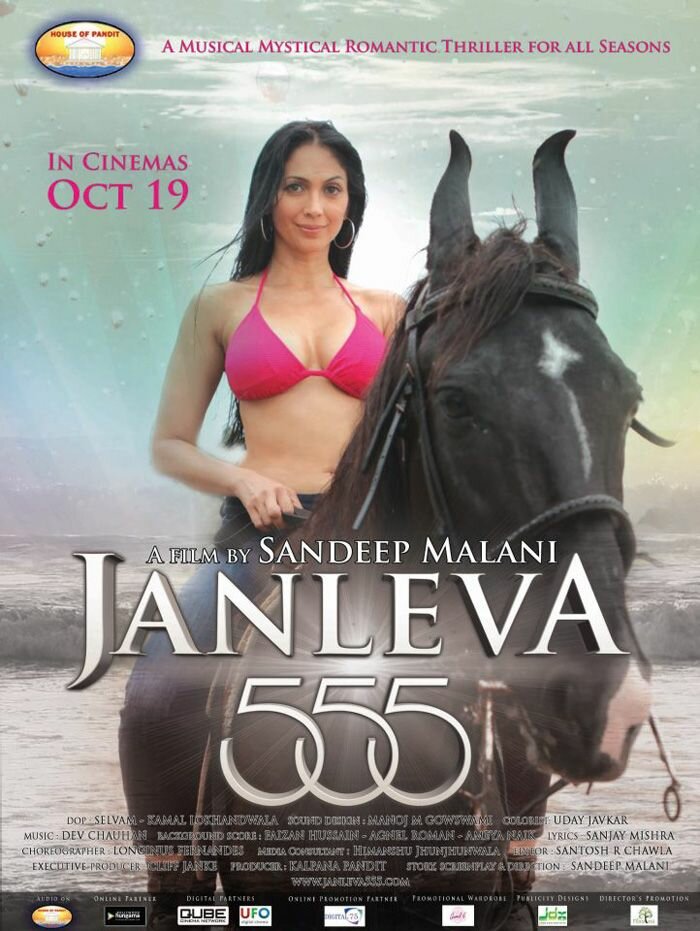 Janleva 555 (2012) постер
