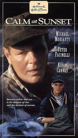 После бури (1996) постер