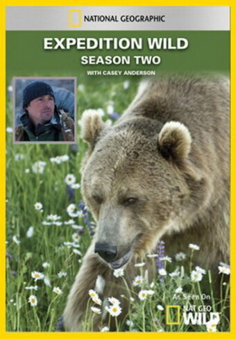Кейси и Брут: В мире медведей (2010) постер