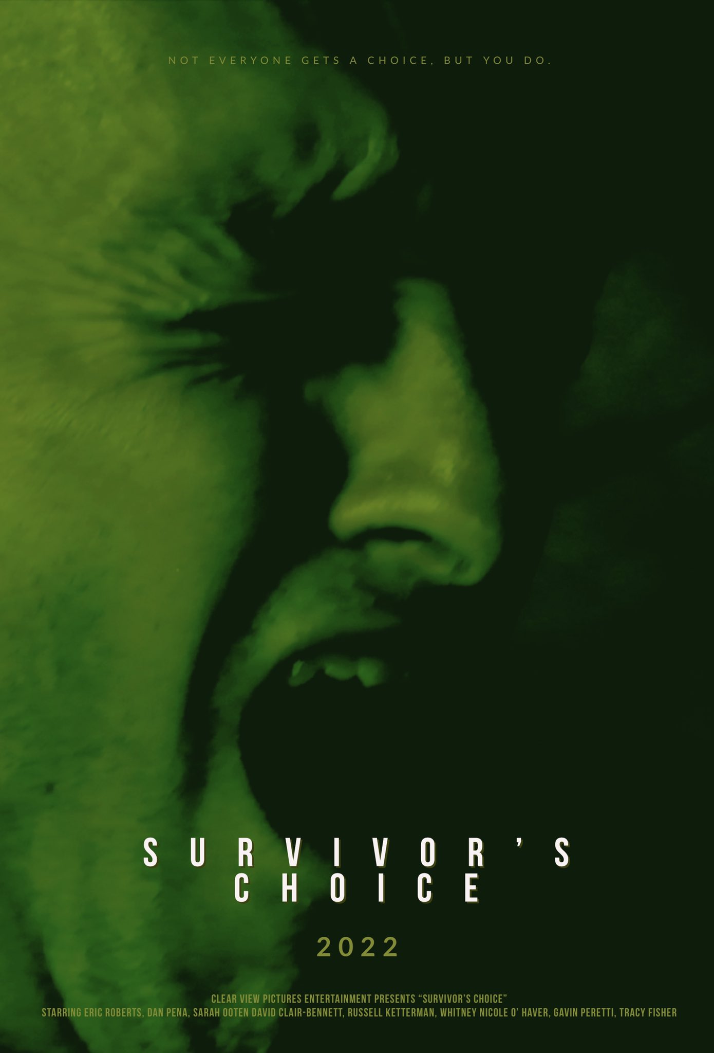 Survivor's Choice (2022) постер