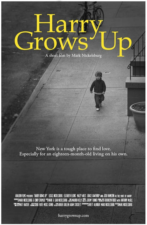 Harry Grows Up (2012) постер
