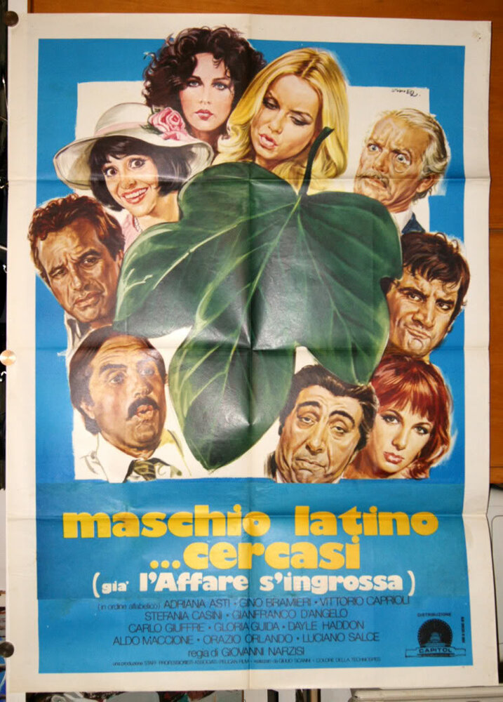 Разыскивается латинский мачо (1977) постер