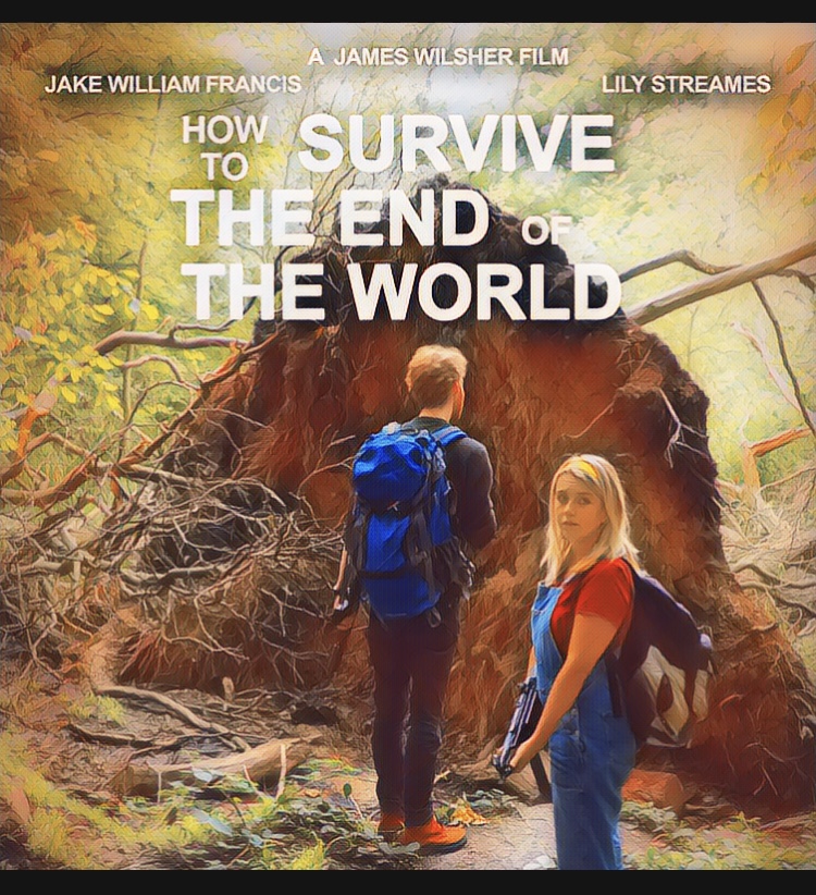 Как пережить конец света (2021) постер