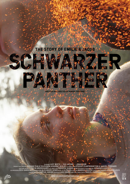 Schwarzer Panther (2014) постер