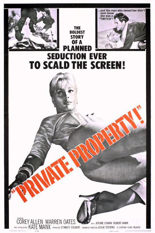 Частная собственность (1960) постер