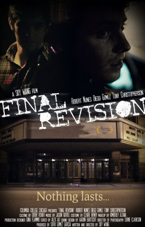 Final Revision (2010) постер