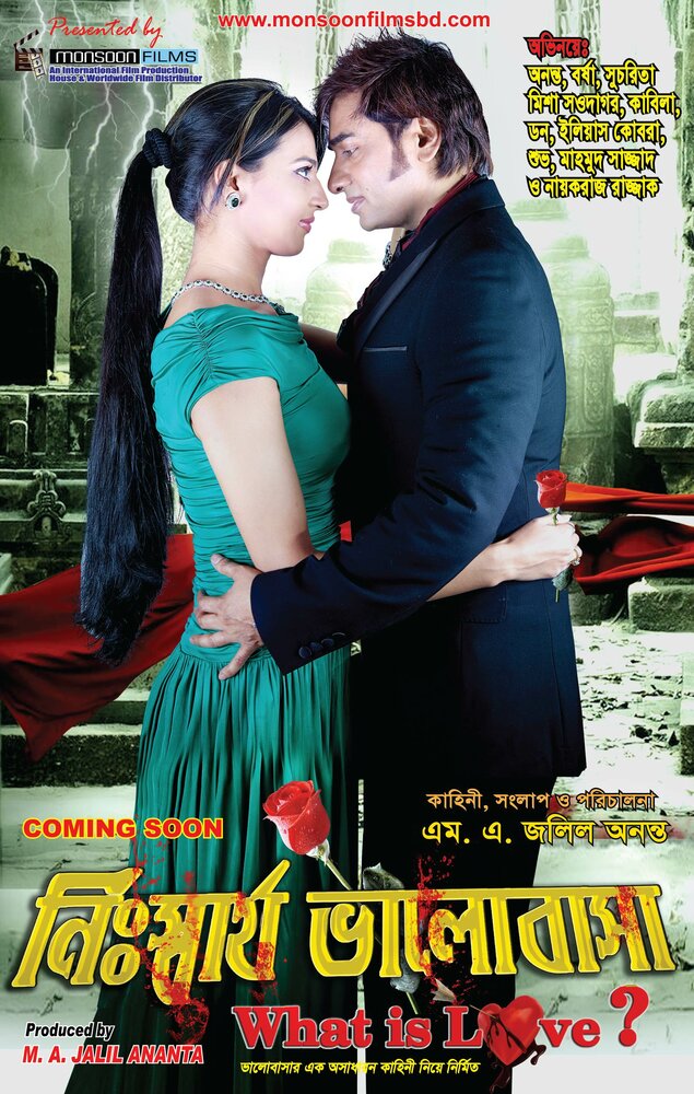 Nisshartho Bhalobasha: What is Love! (2013) постер