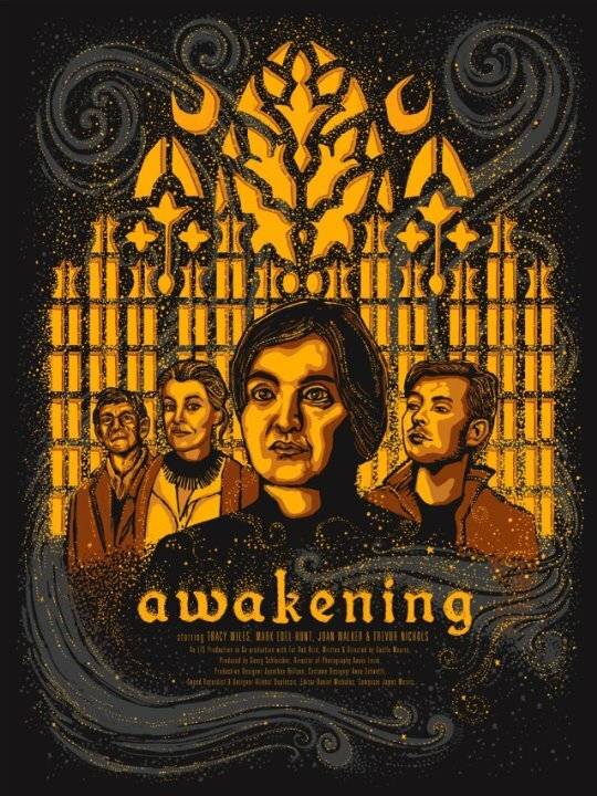 Awakening (2015) постер