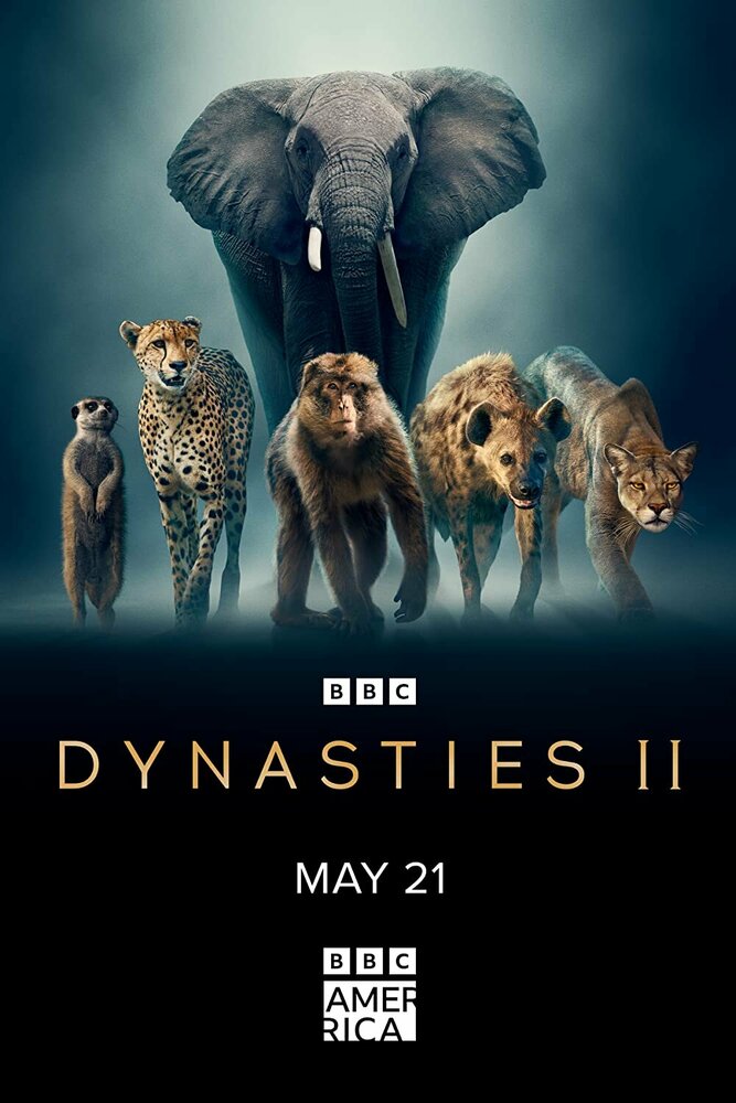 Dynasties II (2022) постер