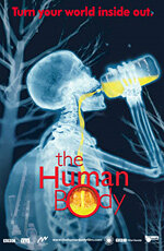 Человеческое тело (2001) постер