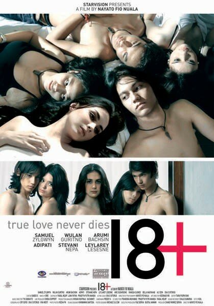 18+ (2010) постер