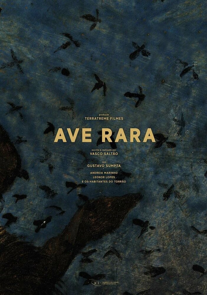 Ave Rara (2019) постер