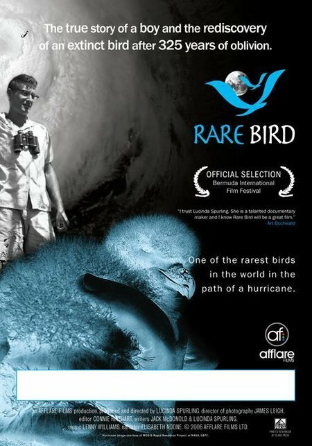 Rare Bird (2006) постер