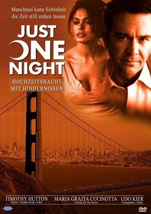 Всего одна ночь (1999) постер