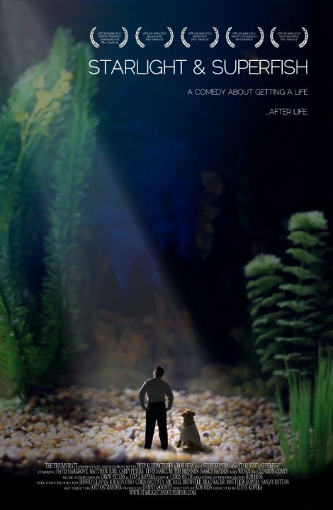 Starlight & Superfish (2010) постер