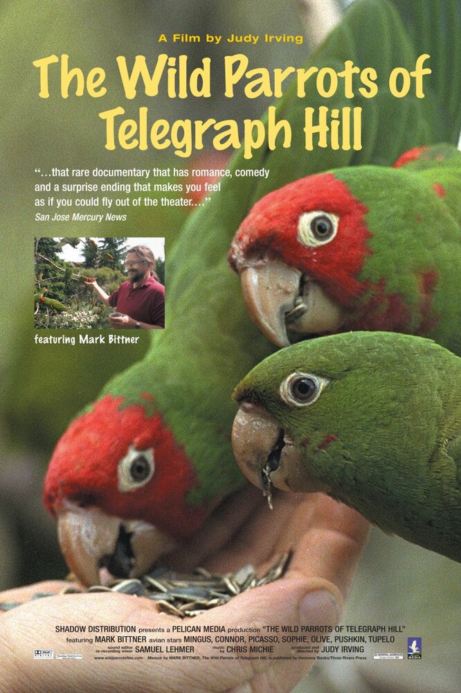 Дикие попугаи с Телеграф Хилл (2003) постер