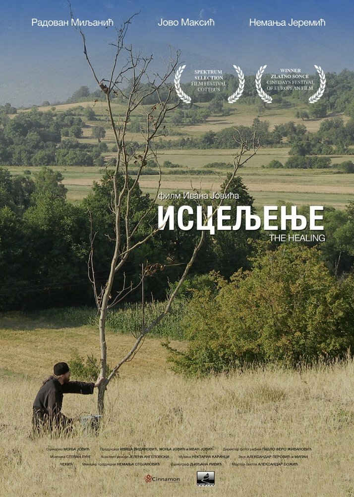 Исцеление (2014) постер