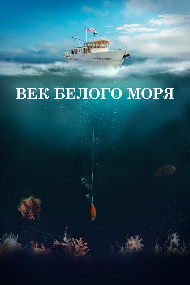 Век Белого моря (2023) постер