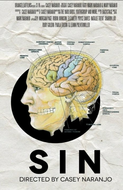 S i n (2014) постер