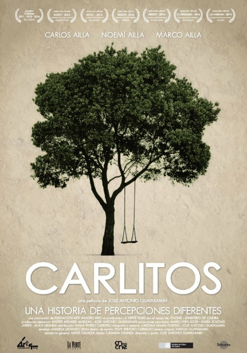 Carlitos (2014) постер