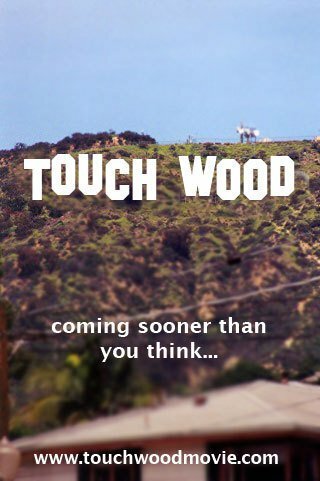 Touch Wood (2010) постер