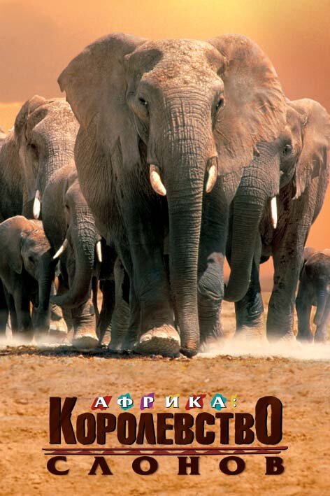 Африка – королевство слонов (1998) постер