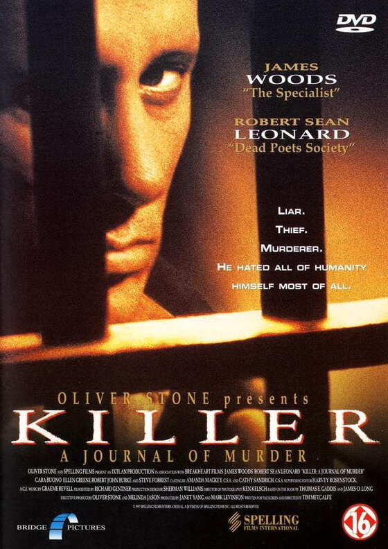 Убийца: Дневник убийств (1995) постер