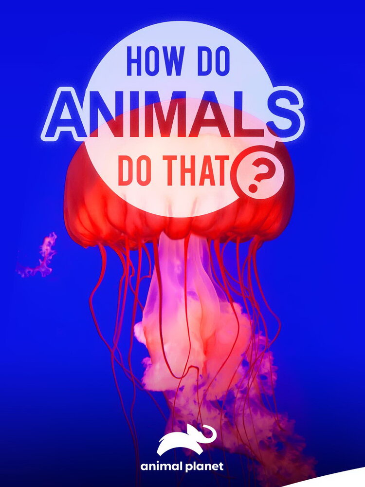 Удивительный мир животных (2019) постер