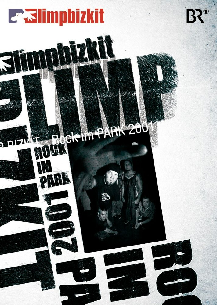 Limp Bizkit: Rock in the Park (2008) постер
