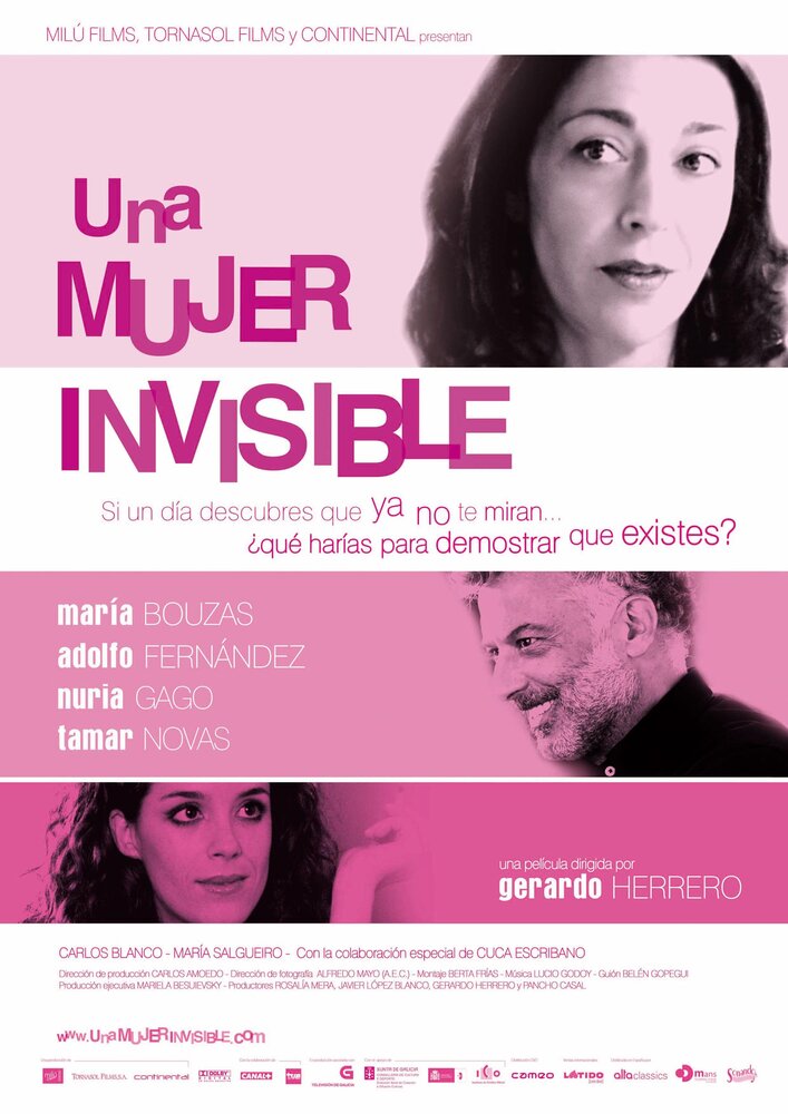Женщина-невидимка (2007) постер