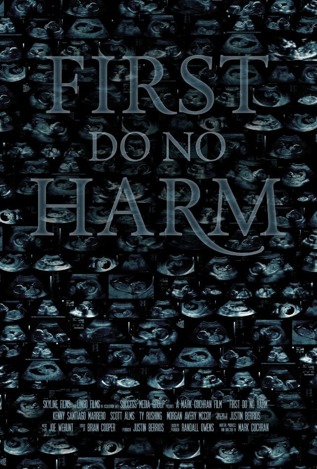 First, Do No Harm (2014) постер