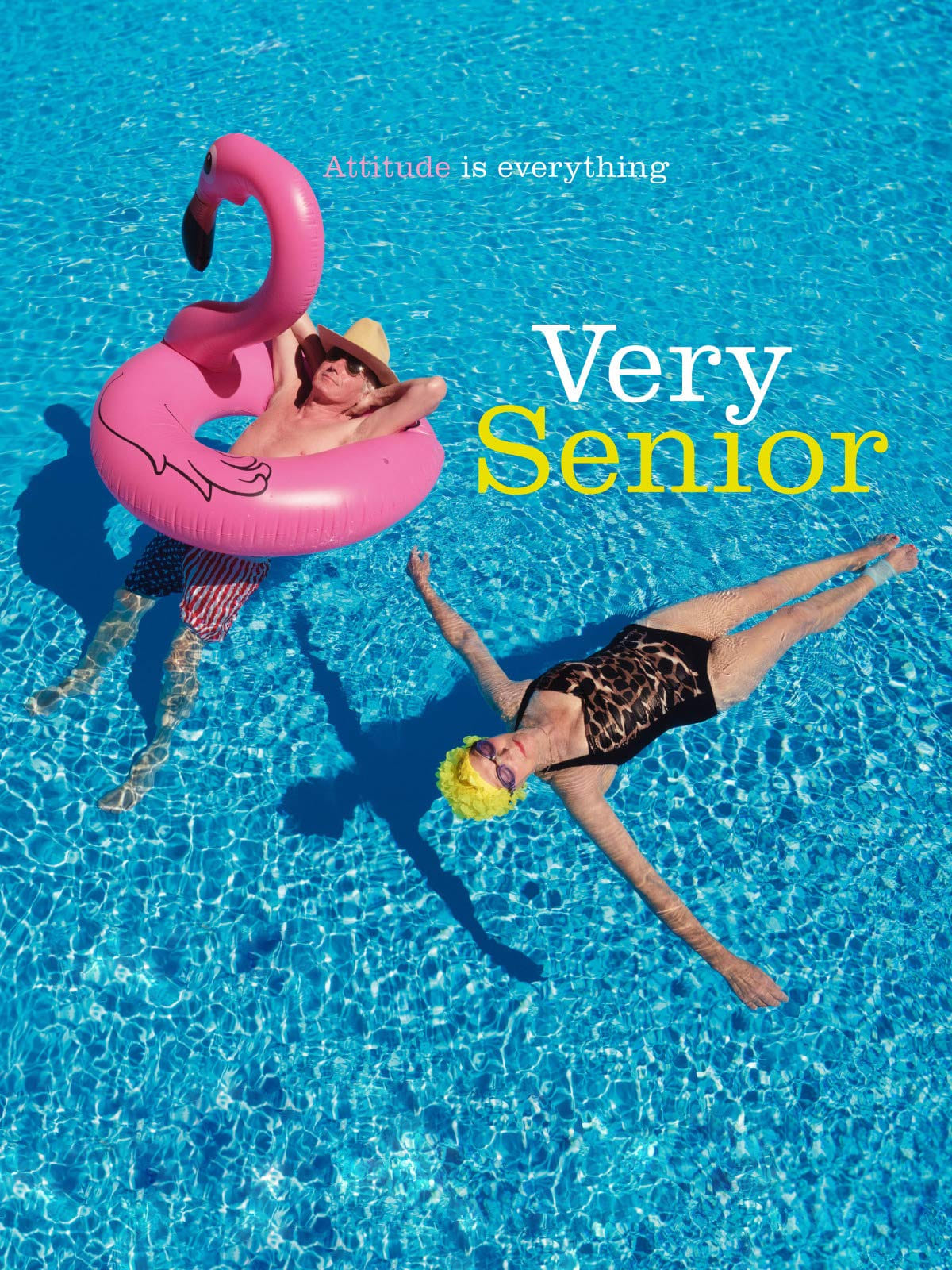 Very Senior - Attitude is everything (2018) постер