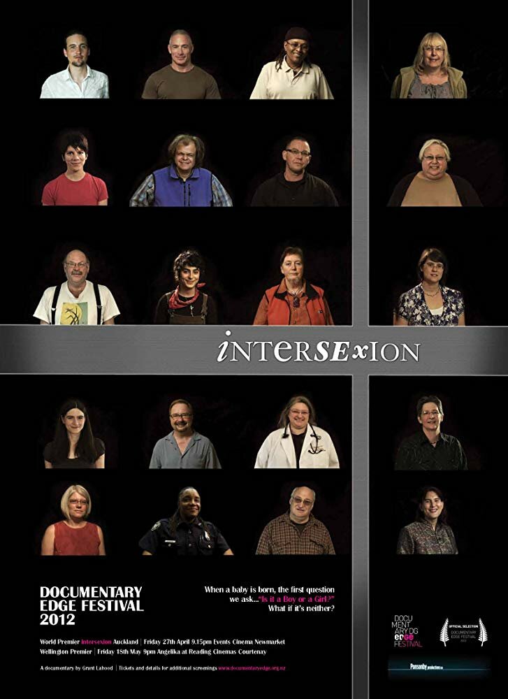 Intersexion (2012) постер