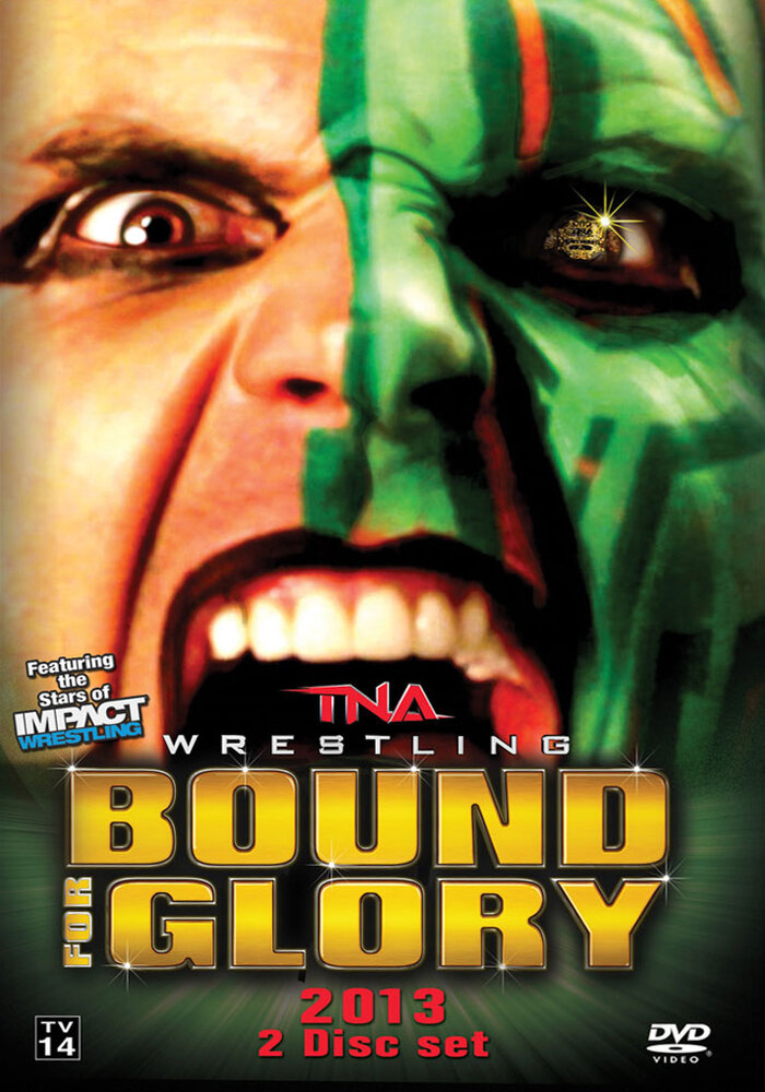 TNA Путь к славе (2013) постер