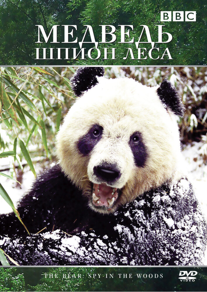 Медведь: Шпион леса (2004) постер