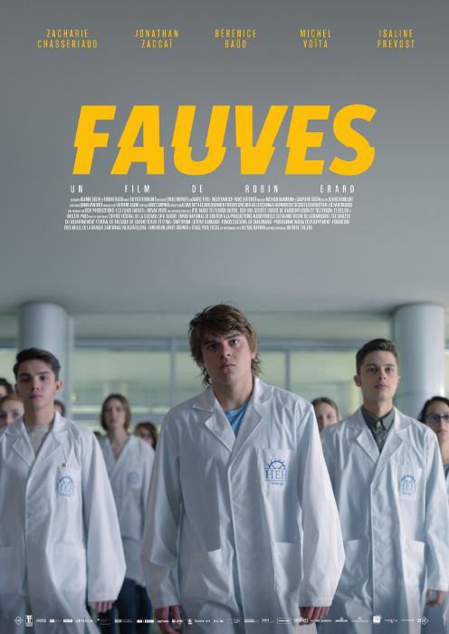 Fauves постер