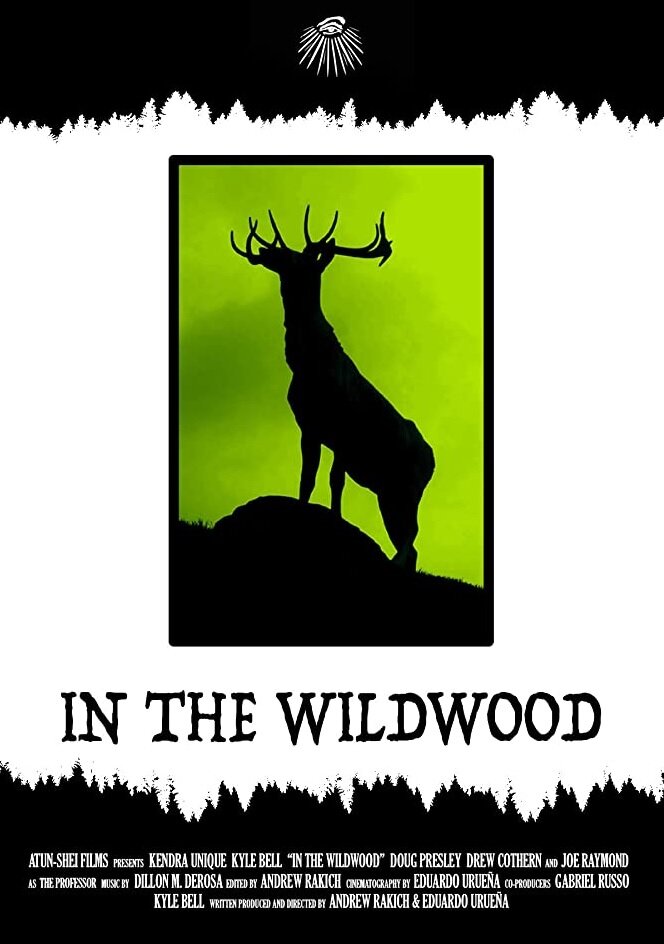 In the Wildwood (2018) постер