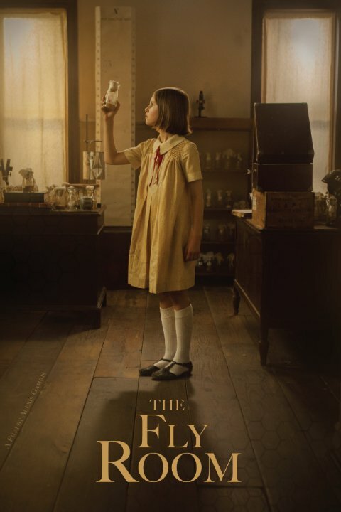 Комната с мухами (2014) постер