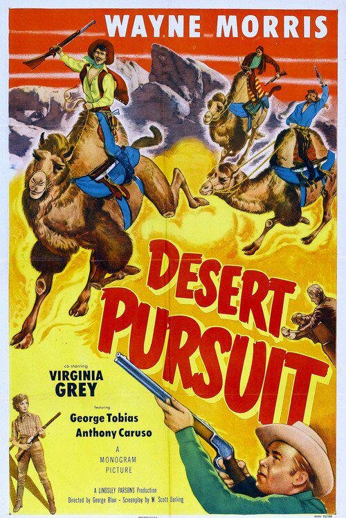 Погоня в пустыне (1952) постер