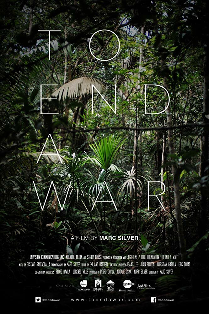 To End a War (2017) постер