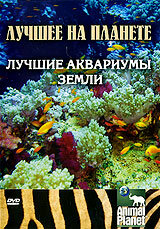 Animal Planet: Лучшие аквариумы земли (2007) постер