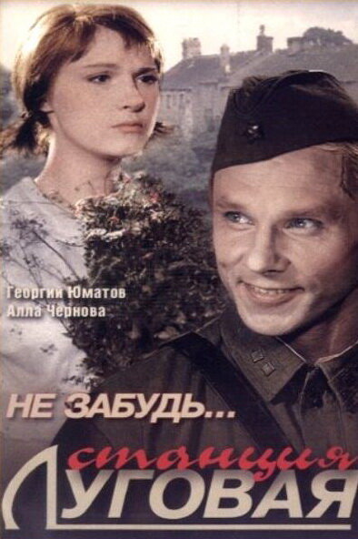 Не забудь... станция Луговая (1966) постер